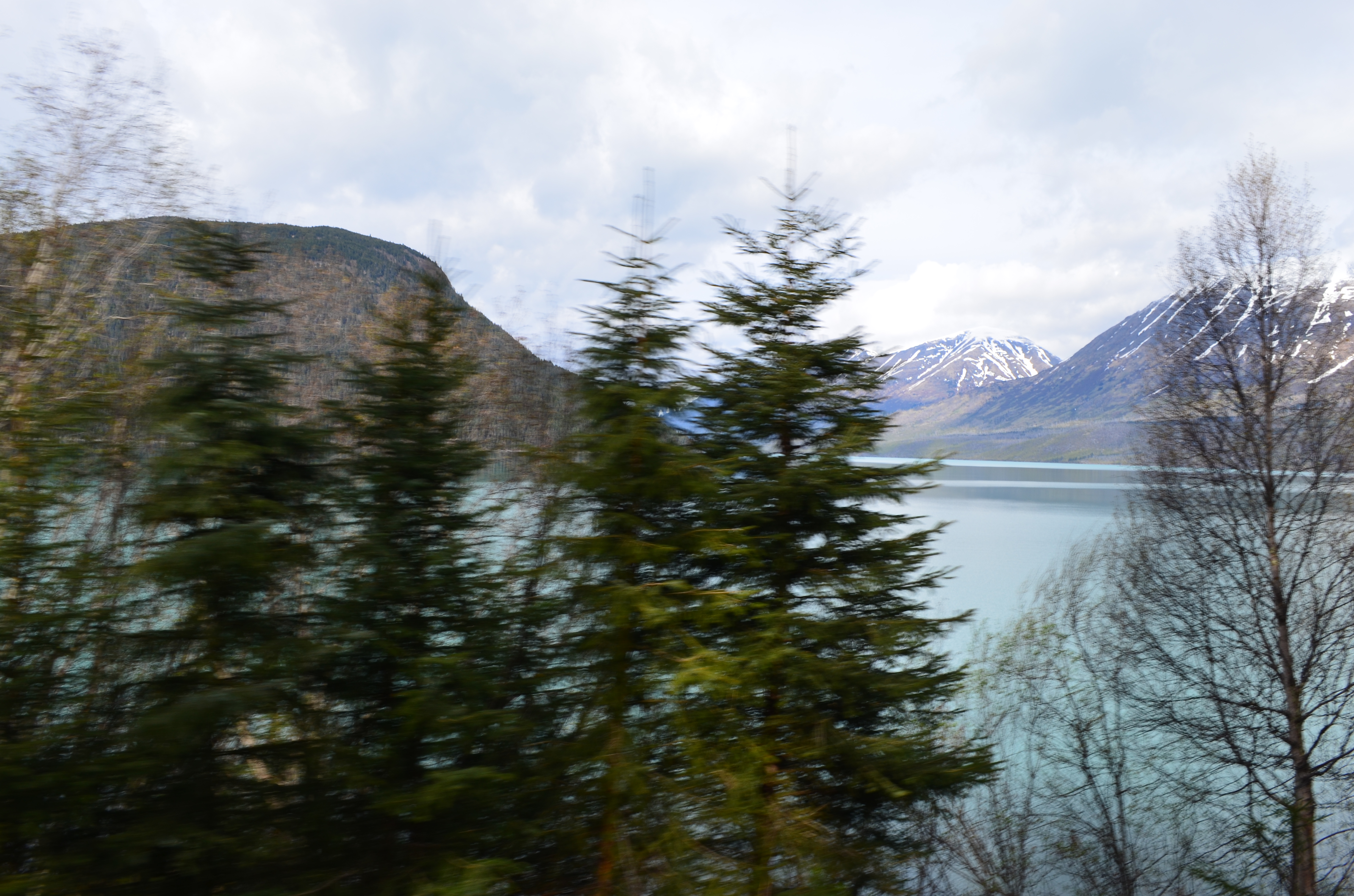 ./2017/08 - Alaska Cruise/05 - Train to Seward/DSC_0578.JPG